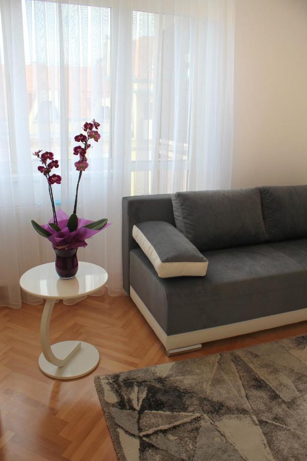 Apartment Cacak Central *